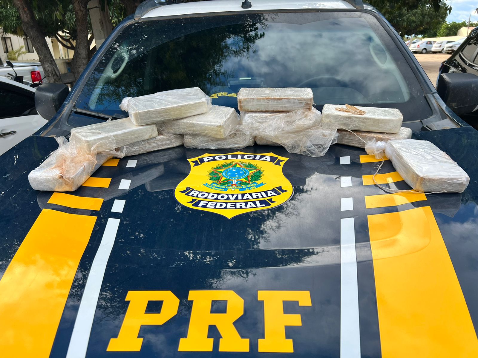 Casal é detido com 12,6 Kg de cocaína em Pernambuco