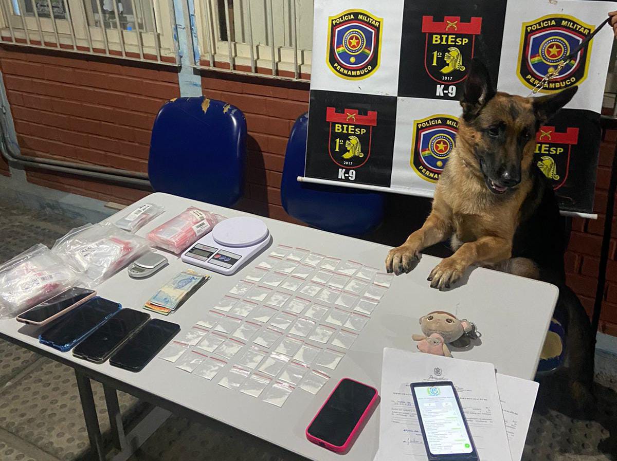 Com ajuda de cão policial PM localiza drogas em residência no Agreste