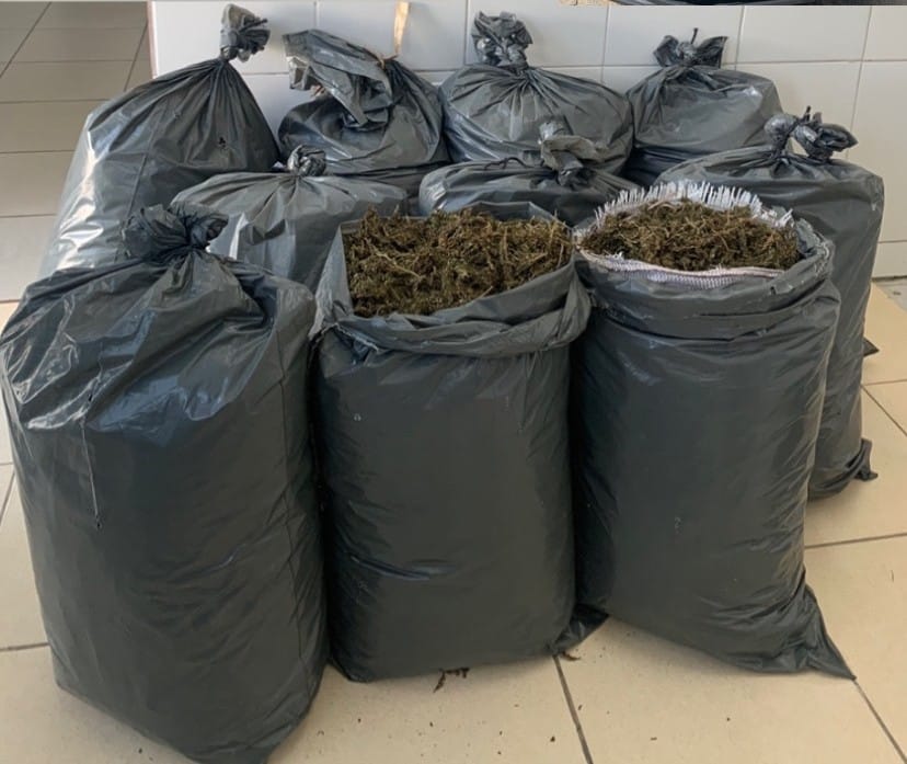 Mais de 110 kg de maconha são apreendidos em Pernambuco