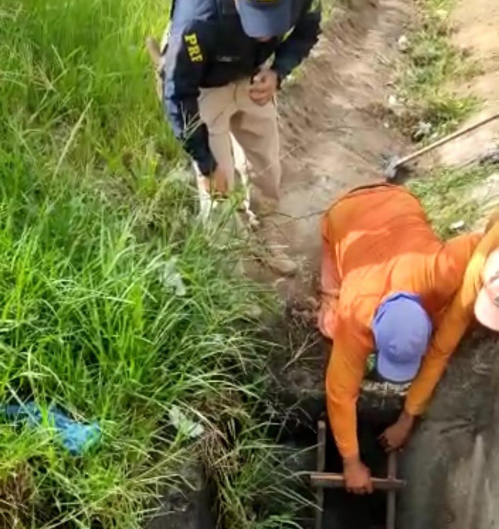 Desaparecido há 8 dias, idoso é encontrado dentro de bueiro em Pernambuco 