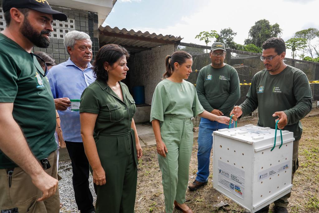 Semana do Meio Ambiente: Governo de Pernambuco destina R$ 1,5 milhão para centro de reabilitação de animais silvestres