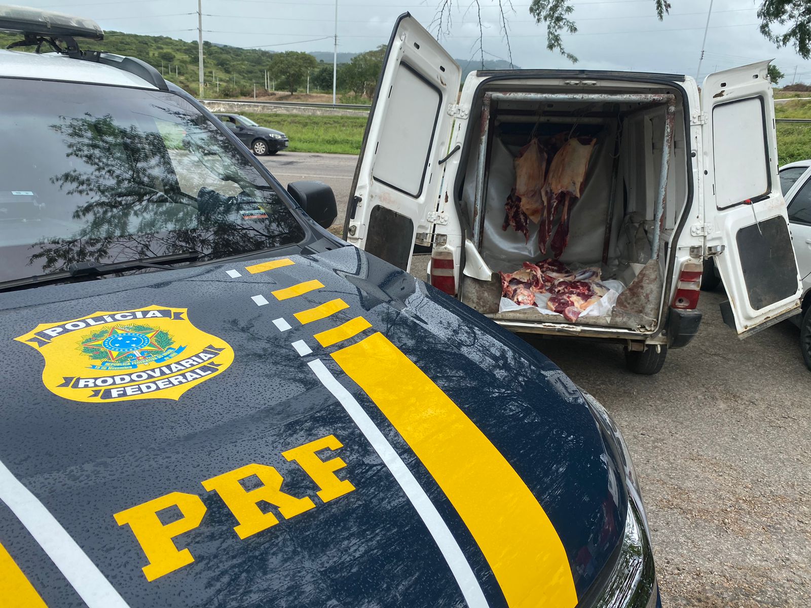 PRF apreende 100 Kg de carne sem a devida refrigeração em Agrestina