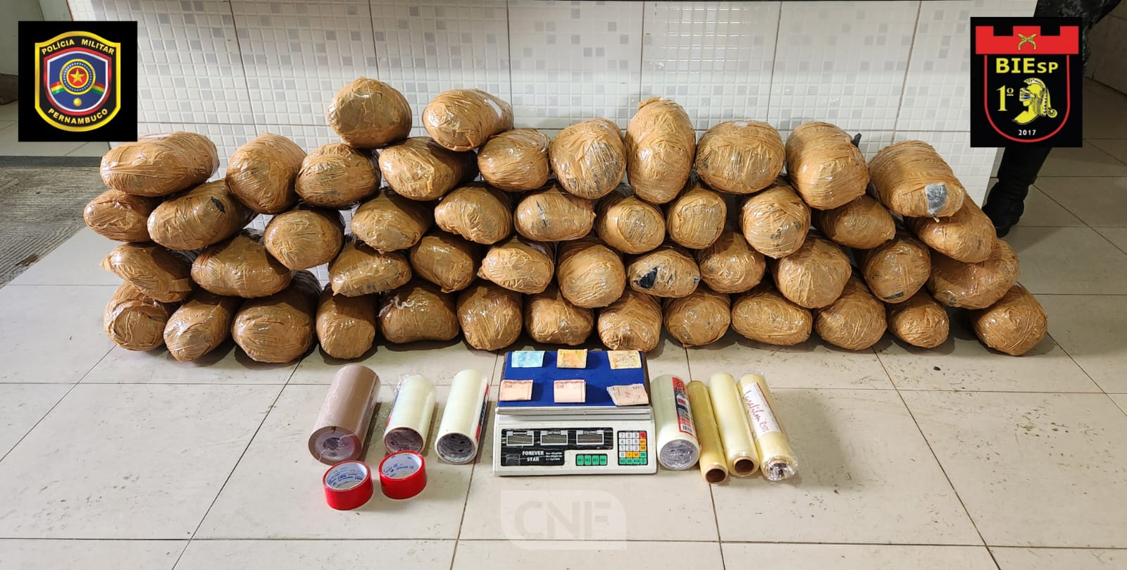 Quase 50kg de maconha apreendidos em Caruaru