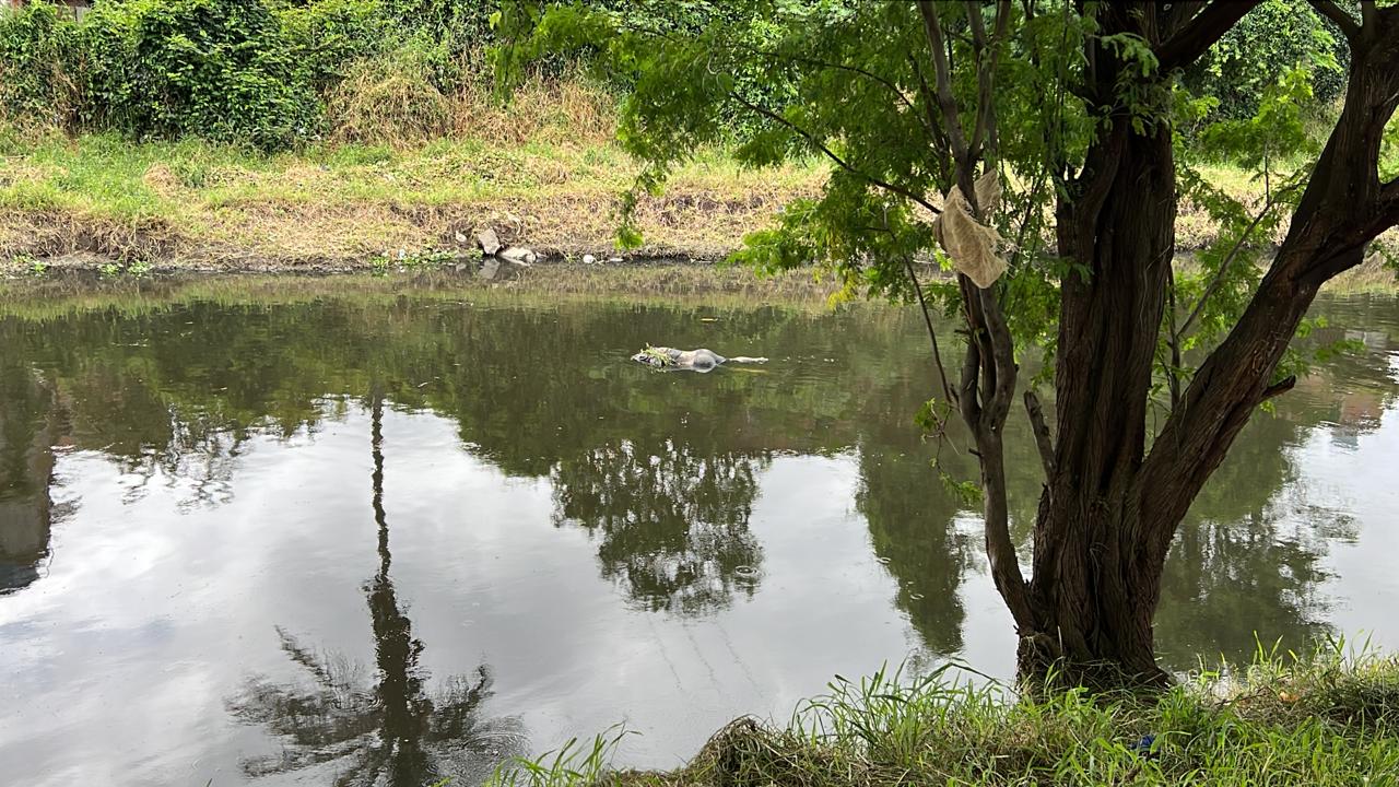 Corpo foi localizado boiando no Rio Ipojuca, em Caruaru