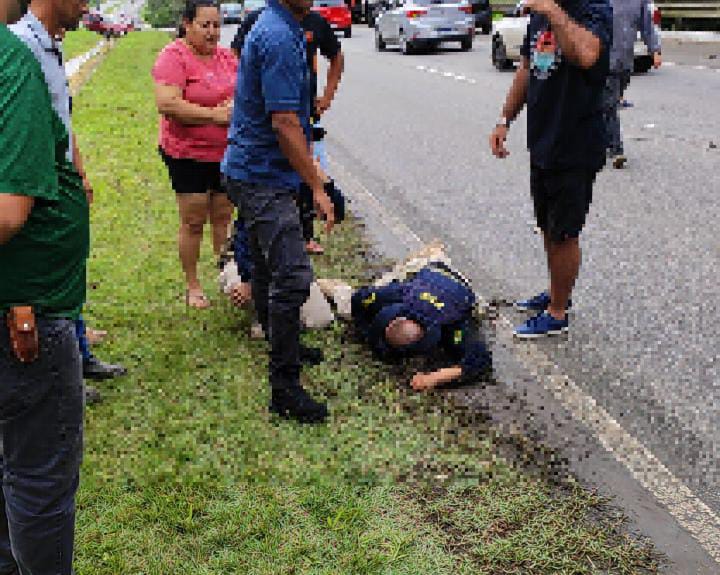 Policial Rodoviário Federal é atropelado enquanto trabalha na BR de Pernambuco