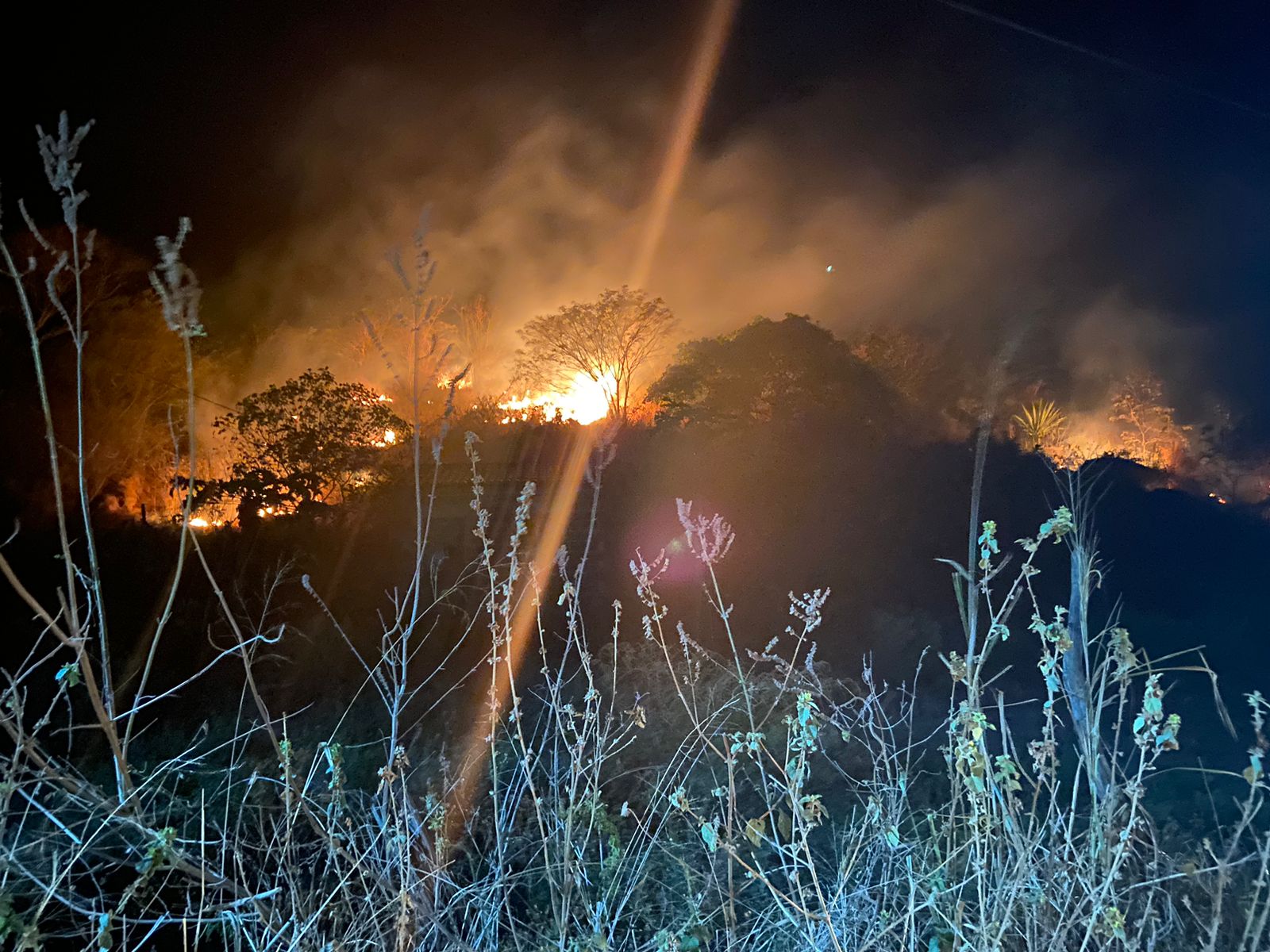 Defesa Civil de Caruaru alerta sobre perigo de queimadas e incêndios em mata neste período de estiagem