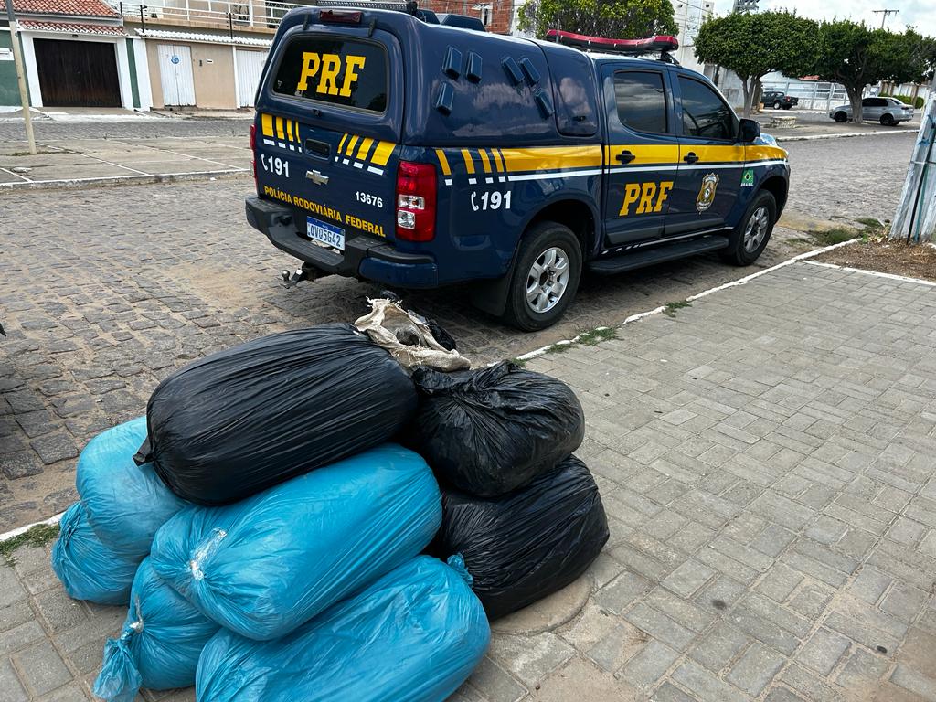 PRF apreende 94 Kg de maconha na BR-235 após motorista tentar fugir Apenas nos 19 primeiros dias de 2024, mais de 256 Kg de maconha foram tirados pela PRF em Pernambuc