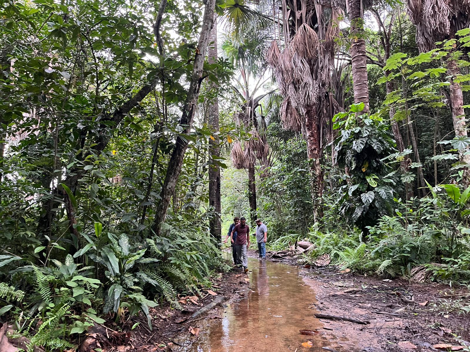 Parque Estadual Dois Irmãos celebra Dia Nacional da Mata Atlântica com programação especial