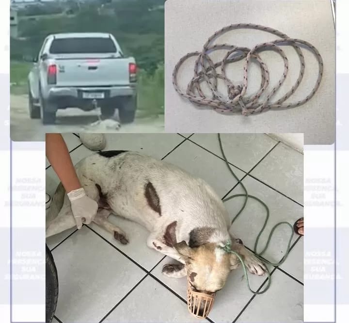 Polícia Civil Identifica e Prende Homem que Arrastou Cachorro na BR-424 em Caetés, PE