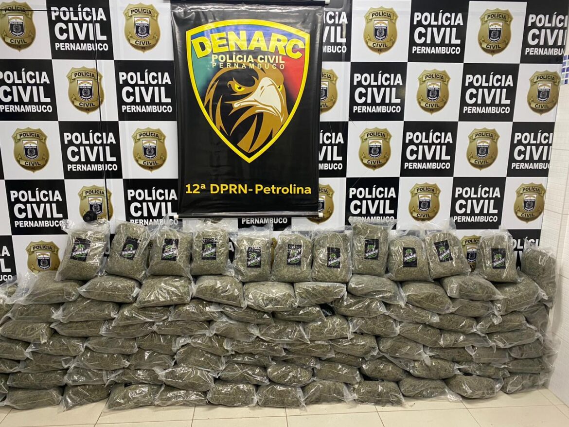 DENARC Petrolina apreende 94 Kg de “maconha chilena”