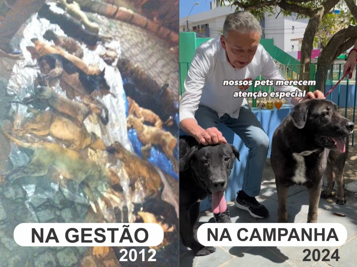 Prefeito no episódio do Massacre de Animais de Caruaru, Zé Queiroz tenta emplacar nova imagem no guia como “amigo” dos pets