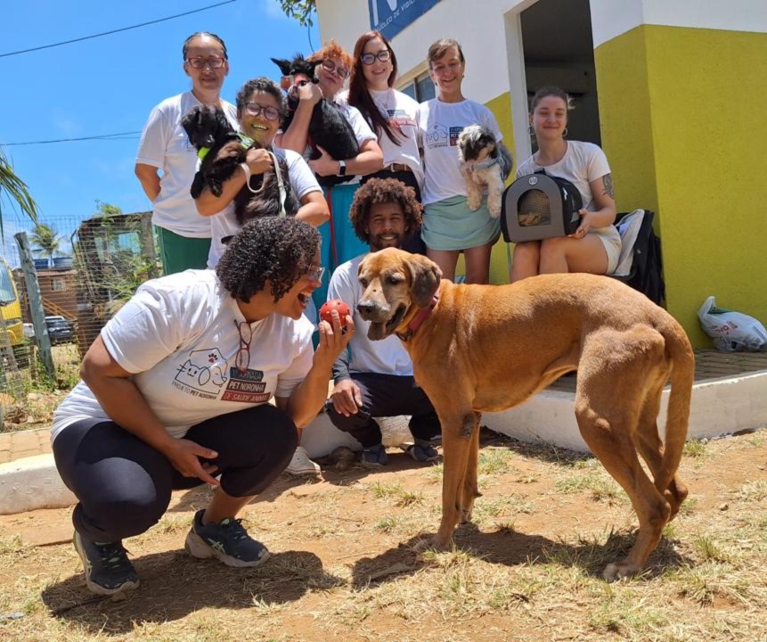 1ª Jornada da Saúde Animal oferece atendimento veterinário a mais de 100 animais na ilha