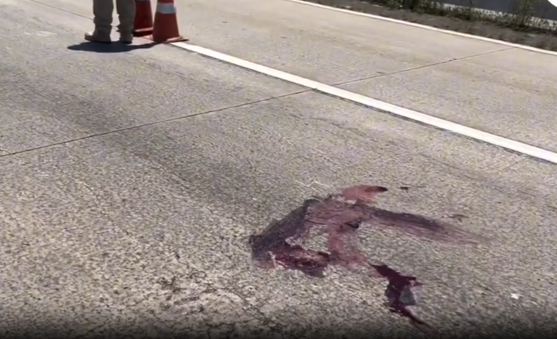 Idosa de 76 anos morre após ser atropelada na BR-232 em Bezerros