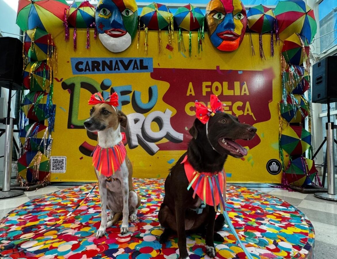 Shopping Difusora realiza fim de semana carnavalesco e bloCão em parceria com Anderson Correia