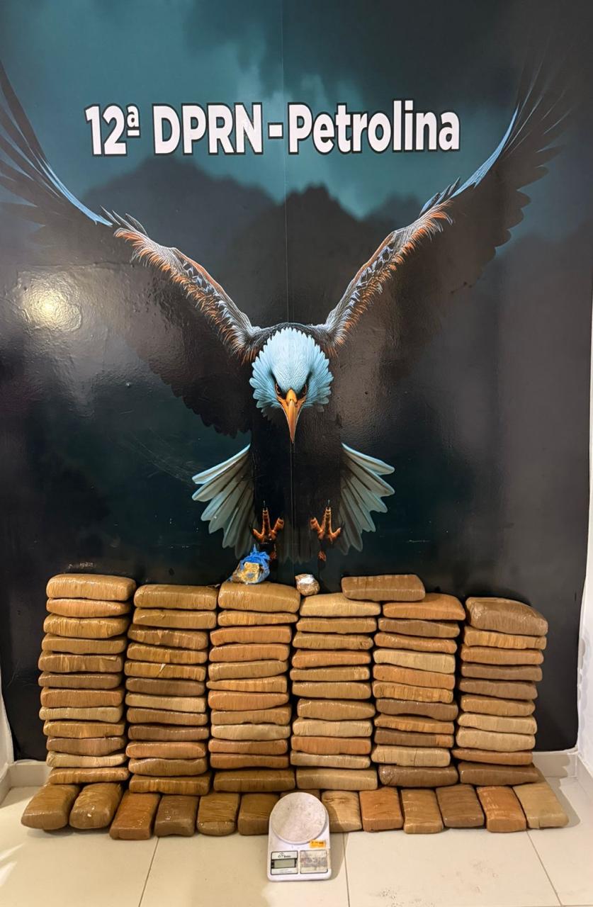 DENARC apreende 43 kg de maconha e prende duas mulheres por tráfico em Petrolina