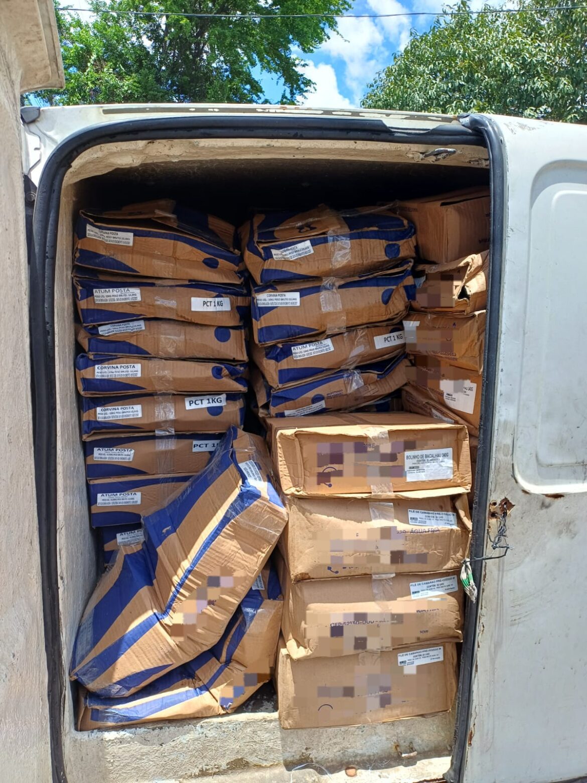 Mais de meia tonelada de pescado sem refrigeração é apreendida pela PRF na BR 101, no Recife