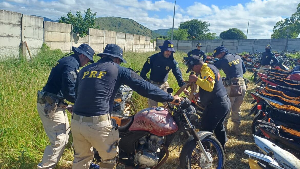 PRF recupera 214 veículos durante Operação Pátio Limpo em Pernambuco